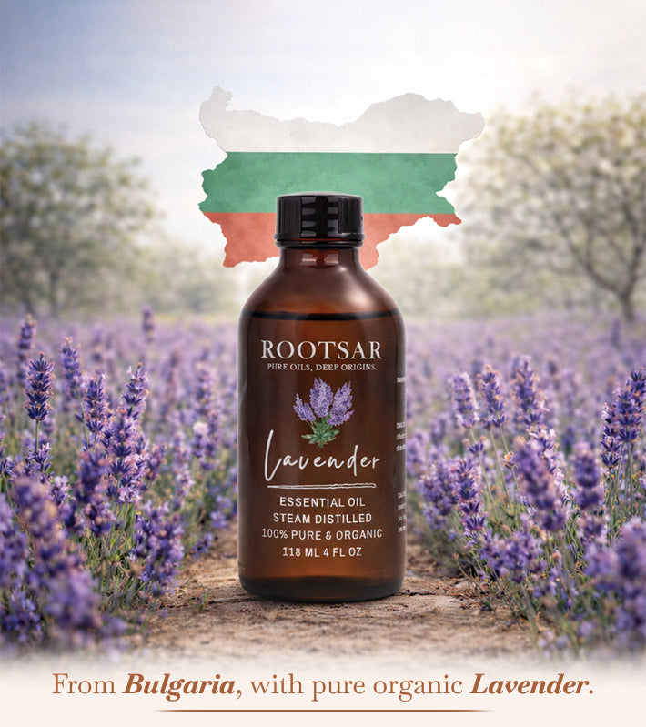 Lavender Essential Oil