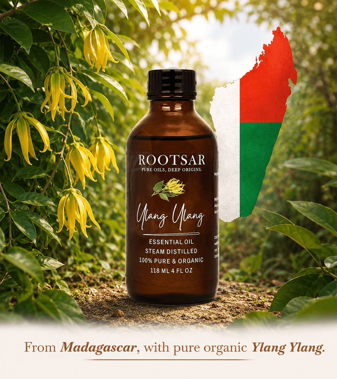 Ylang Ylang Essential Oil